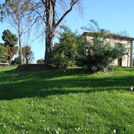 טרייזו Casa Vacanze San Stefanetto מראה חיצוני תמונה
